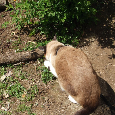 DSCF2483.jpg