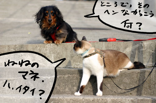 +IMG_7337.jpg