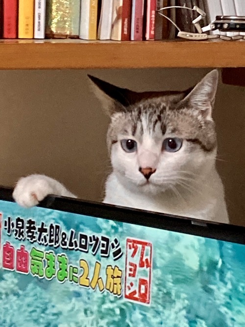 4672E8B0-A5A2-464F-B4FB-14FC537621F4