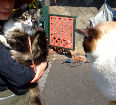 DSCF2770.jpg