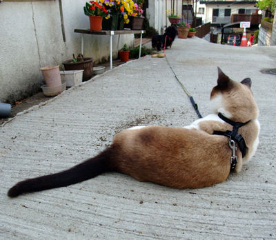 DSCF2869.jpg