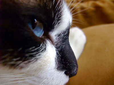 DSCF2086.jpg