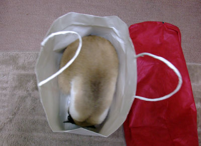 DSCF2419.jpg