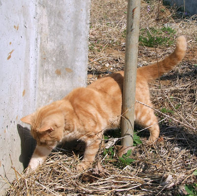 DSCF2557.jpg