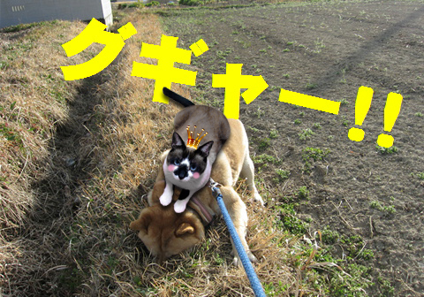 ゴン太郎さんと2