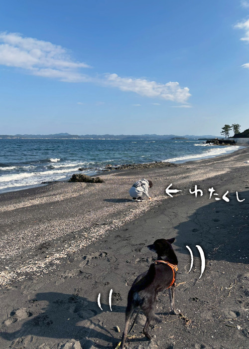 LINE_ALBUM_2025.11.15白間津_251115_6