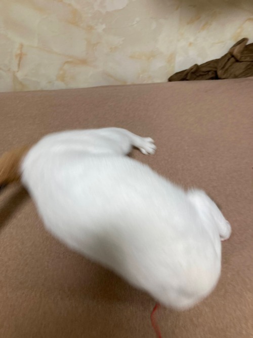 AD2BEEBD-DCB8-4281-8AAD-7EE74A52A314