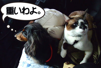DSCF2075.jpg
