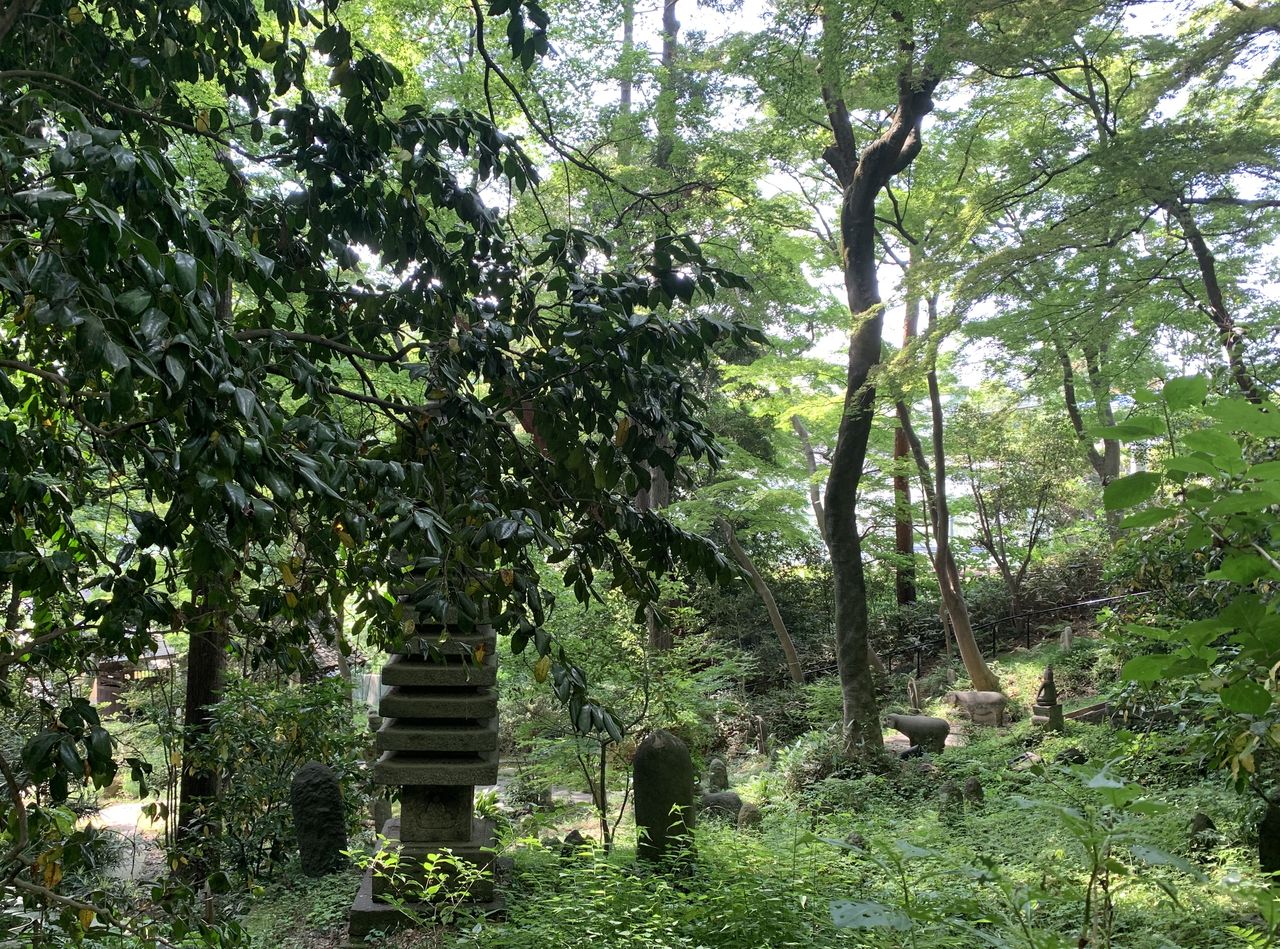 五島美術館 日曜日のお散歩 Pioピアノ雑記帳 五島美術館 日曜日のお散歩 Pioピアノ雑記帳