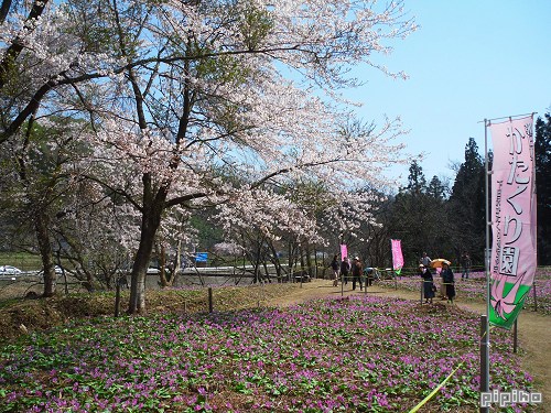 katakurien