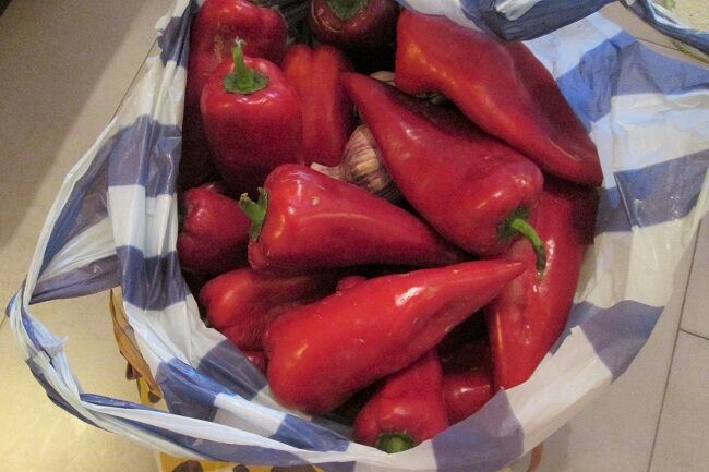 みどりむし 赤いピーマンみたいな野菜を買う みどりむし In ヨーロッパのどこか ４