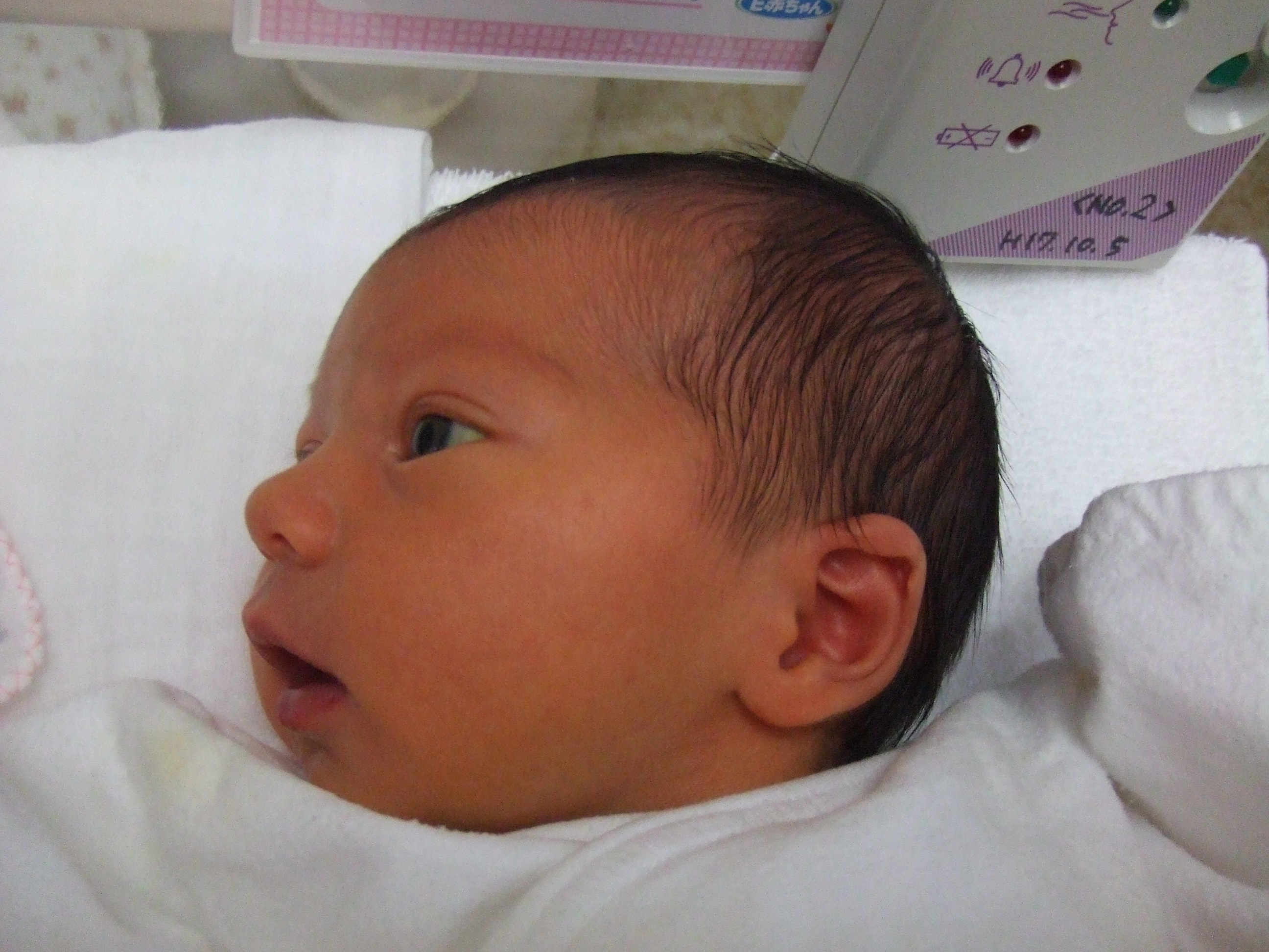 有名な 新生児 鼻 大きい 画像ブログ