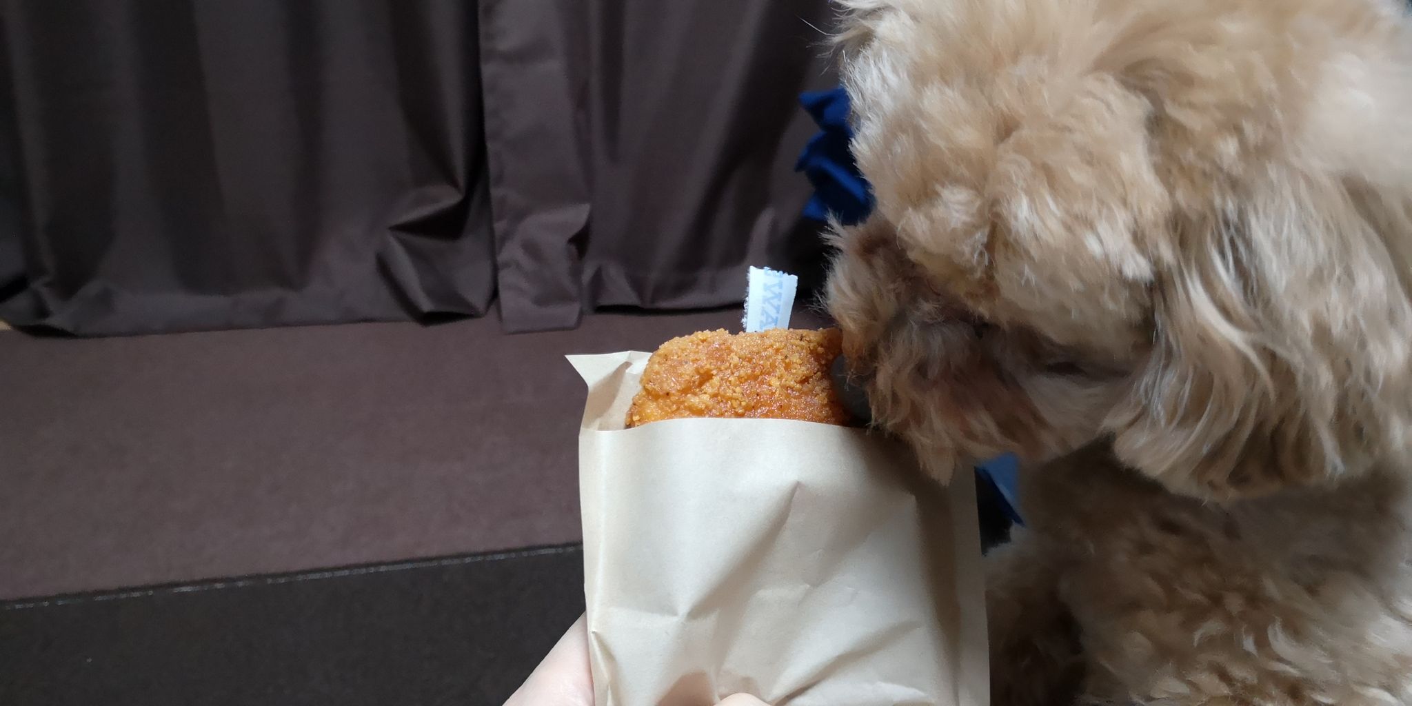 近く の 食べ物 屋 さん 安い