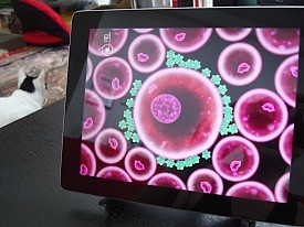 20120815