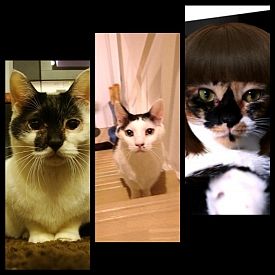20120213