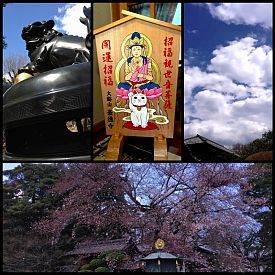 20120407