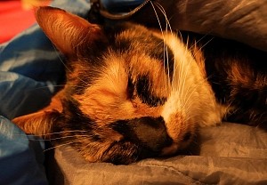 20130227