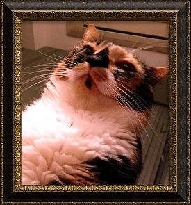 20120703