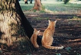 20120803