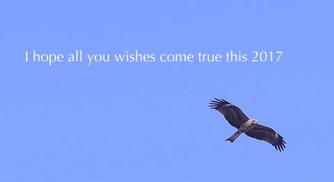 20170101