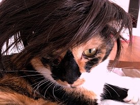 20121006