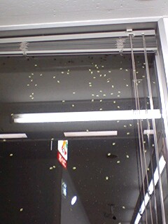 田舎のコンビニはかめ虫てんこ盛り ぶつぶつ つ ぶ や き