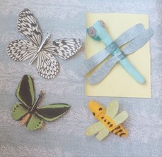 IMG_20241222_134834_20241223153103