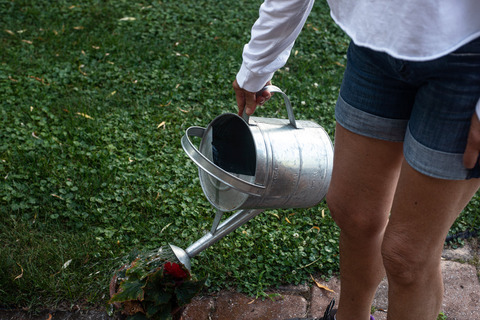 person-waters-plants-with-a-watering-can