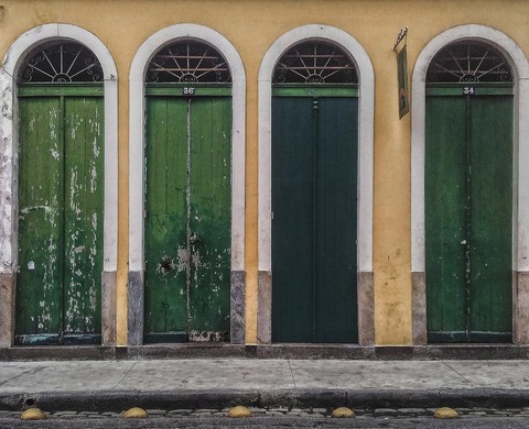 green-tall-doors_925x