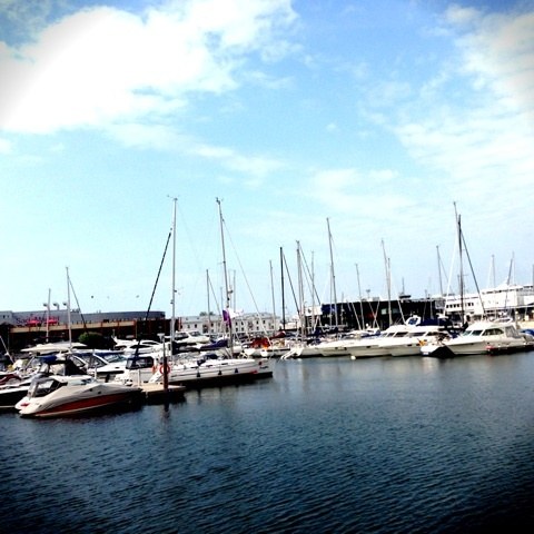 o0480048012604639854