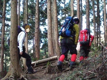 イメージ 20