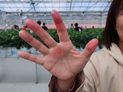 イメージ 7