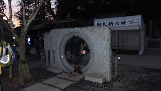 イメージ 7