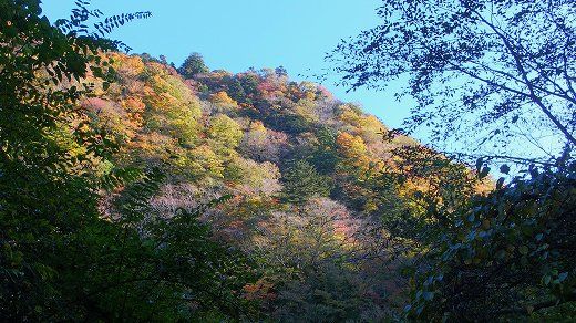 イメージ 10