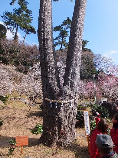 イメージ 16