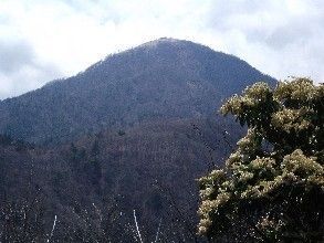 イメージ 21