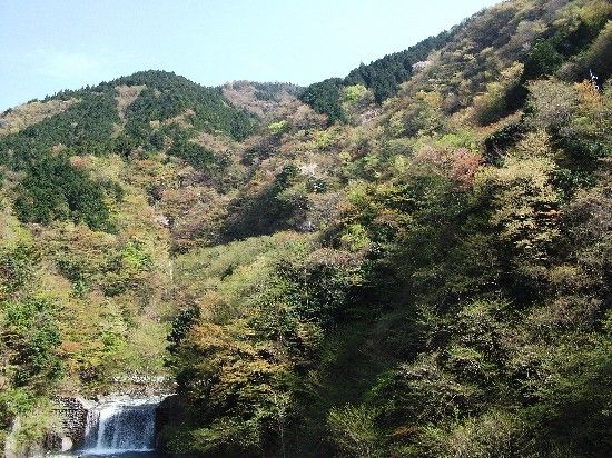 イメージ 14