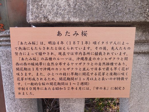 イメージ 18