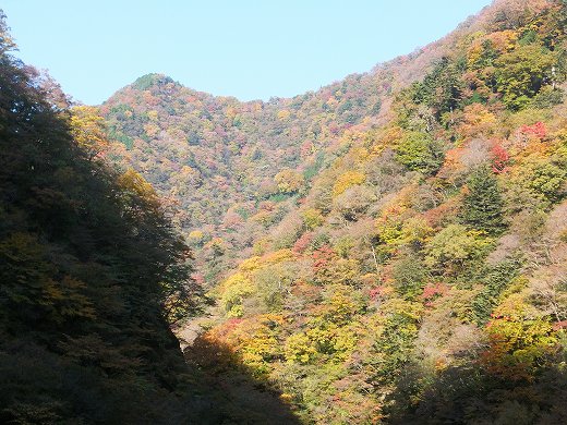 イメージ 7