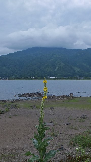イメージ 6