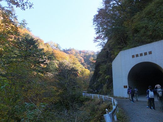 イメージ 6