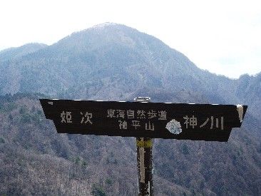 イメージ 7