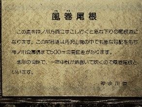 イメージ 19