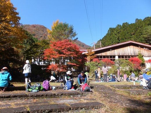 イメージ 16