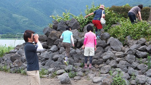 イメージ 5