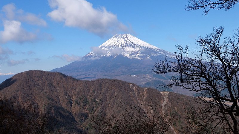 イメージ 18