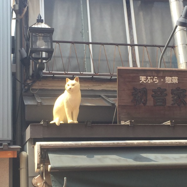 20150613_053630384_iOS