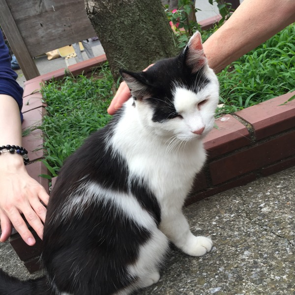 20150613_072900657_iOS