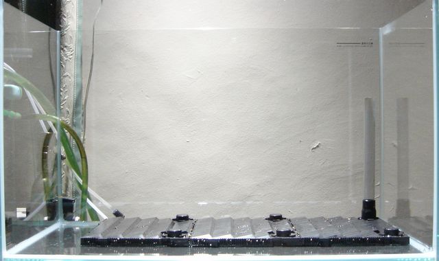 L1水槽再出発 えびblog L1水槽再出発 えびblog