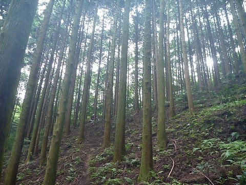 P1030066